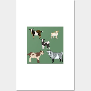 Nigerian Dwarf Goats Pattern Sage Posters and Art